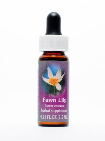 FES Fawn Lily (Zahnlilie)