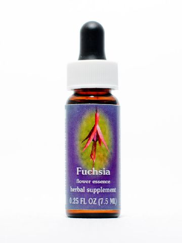 FES Fuchsia (Fuchsie)