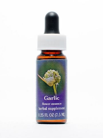 FES Garlic (Knoblauch)