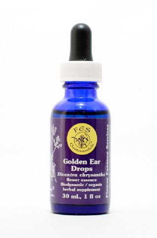 FES Golden Ear Drops (goldgelbe Herzblume)