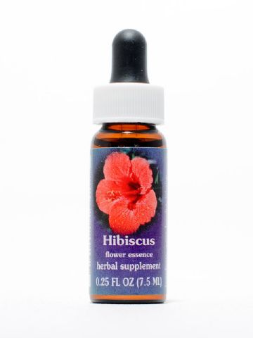 FES Hibiscus (Rosen-Eibisch)