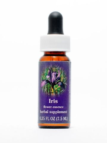 FES Iris (Schwertlilie)