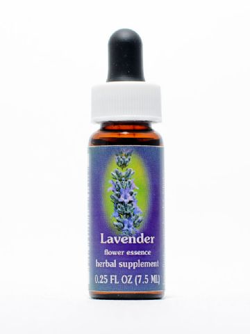 FES Lavender (Lavendel)