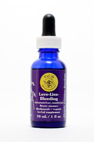 FES Love-Lies-Bleeding (Amarant)