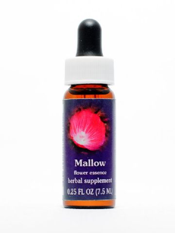 FES Mallow (Präriemalve)