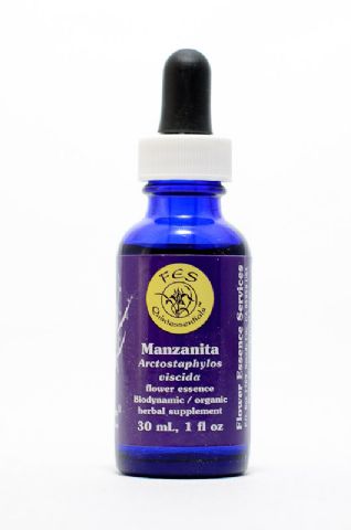 FES Manzanita (klebe Bärentraube)