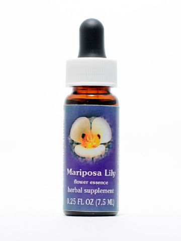 FES Mariposa Lily (Mormonentulpe)