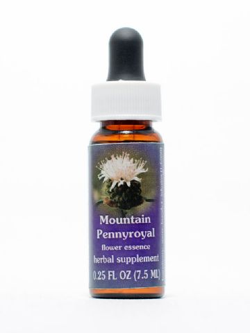 FES Mountain Pennyroyal (Indianernessel)