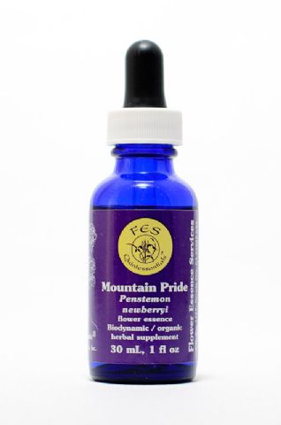 FES Mountain Pride (Bartfaden)