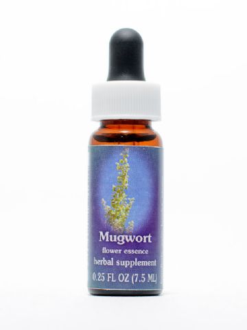 FES Mugwort (Beifuss)