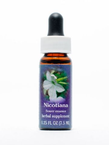 FES Nicotiana (Ziertabak)