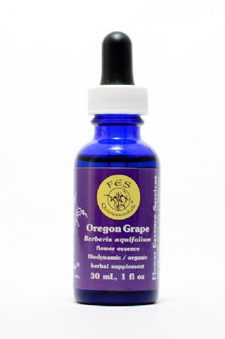 FES Oregon Grape (Mahonie)