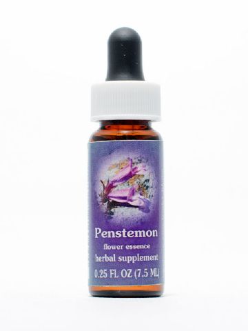 FES Penstemon (Bartfaden)