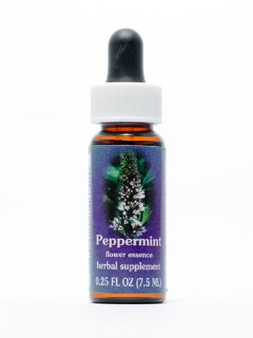 FES Peppermint (Pfefferminze)