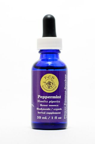 FES Peppermint (Pfefferminze)