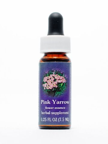 FES Pink Yarrow (rosa Schafgarbe)