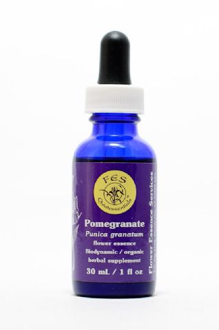 FES Pomegranate (Granatapfel)