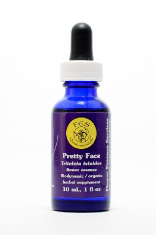 FES Pretty Face (Schöngesicht)