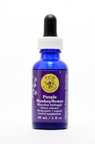 FES Purple Monkeyflower (Purpur-Gauklerblume)