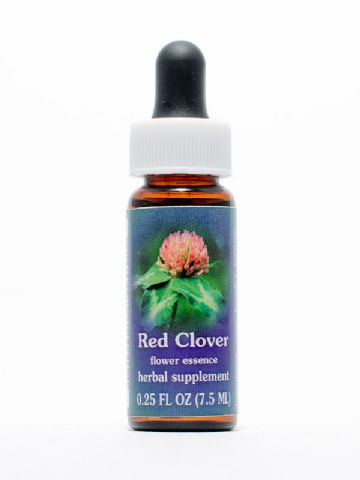 FES Red Clover (Wiesenklee)