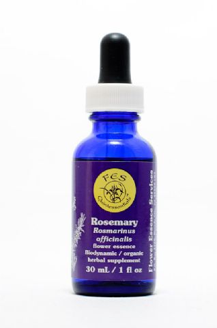 FES Rosemary (Rosmarin)