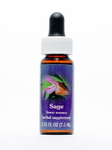 FES Sage (Salbei)