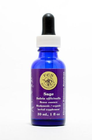 FES Sage (Salbei)