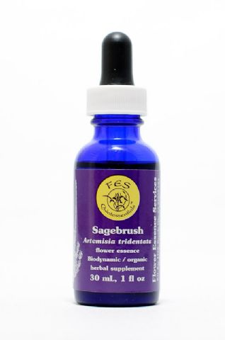 FES Sagebrush (dreizähniger Beifuß)