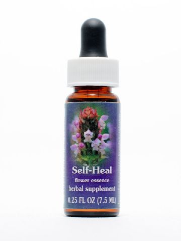 FES Self-Heal (gemeine Brunelle)