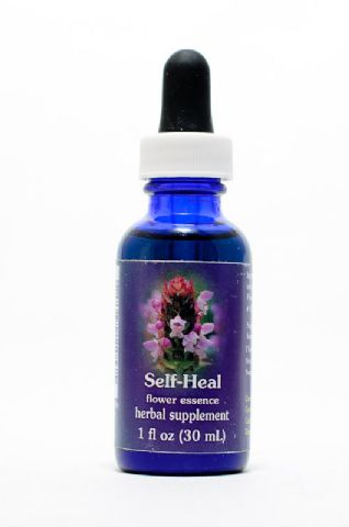 FES Self-Heal (gemeine Brunelle)