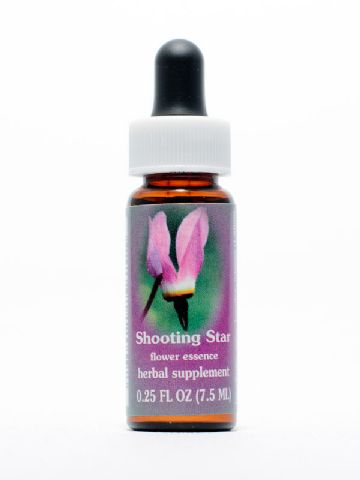 FES Shooting Star (Götterblume)