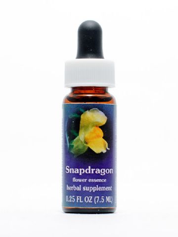 FES Snapdragon (Löwenmaul)