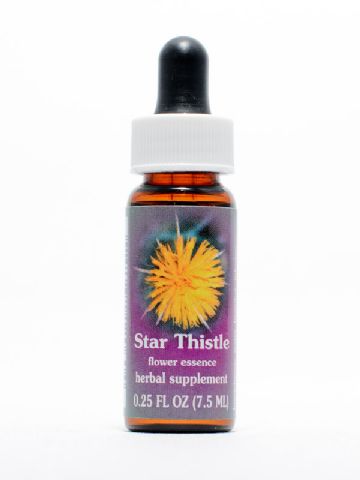 FES Star Thistle (Sonnenwend-Flockenblume)