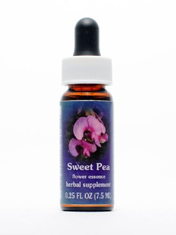 FES Sweet Pea (Platterbse)