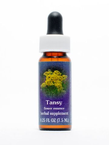 FES Tansy (Rainfarn)