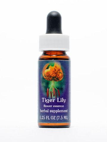 FES Tiger Lily (Tigerlilie)