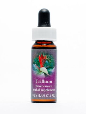 FES Trillium (Dreiblattlilie)