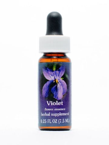 FES Violet (wohlriechendes Veilchen)