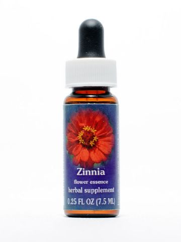 FES Zinnia (Zinnie)