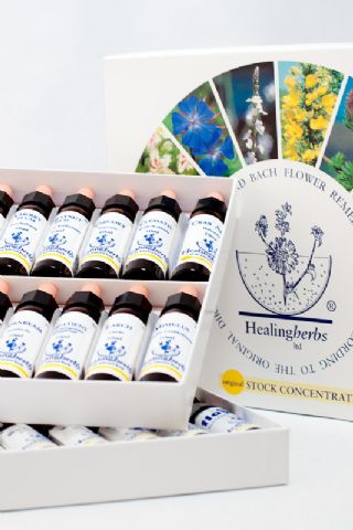Healing Herbs Set in einer Pappbox