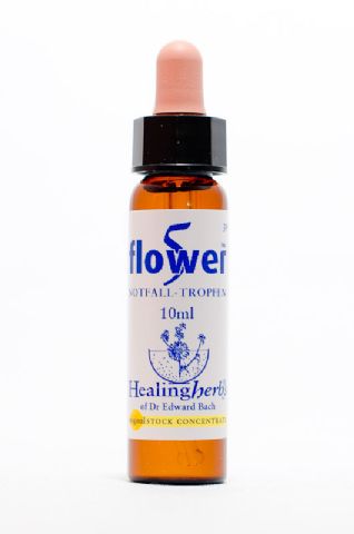 Healing Herbs 39 Five Flower Remedy Notfalltropfen