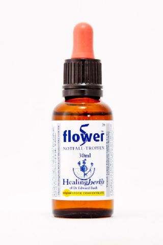 Healing Herbs 39 Five Flower Remedy Notfalltropfen