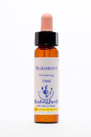 Healing Herbs 01 Agrimony (Odermennig)
