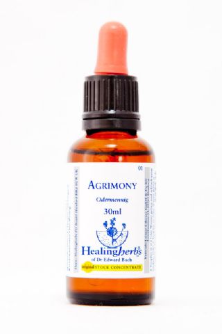 Healing Herbs 01 Agrimony (Odermennig)