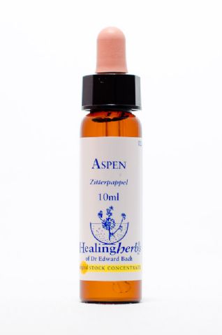 Healing Herbs 02 Aspen (Zitterpappel)
