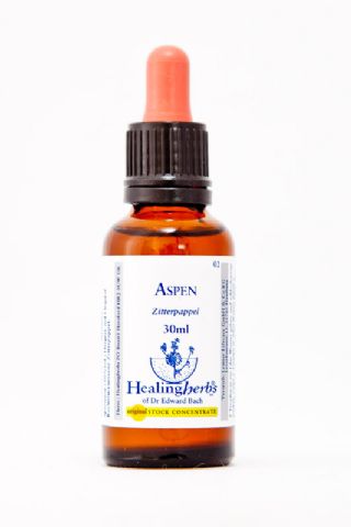 Healing Herbs 02 Aspen (Zitterpappel)