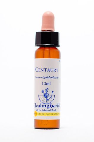 Healing Herbs 04 Centaury (Tausendgüldenkraut)