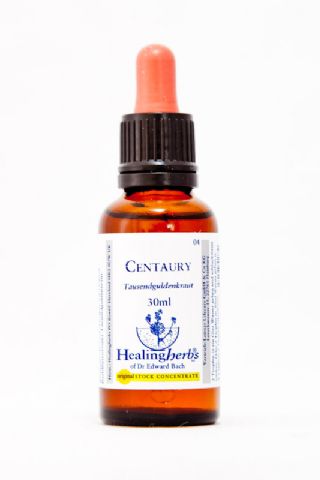Healing Herbs 04 Centaury (Tausendgüldenkraut)