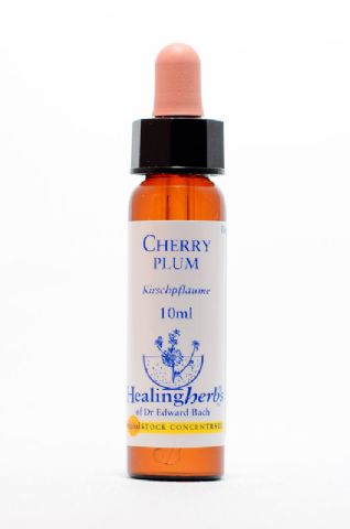 Healing Herbs 06 Cherry Plum (Kirschpflaume)