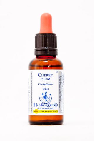 Healing Herbs 06 Cherry Plum (Kirschpflaume)
